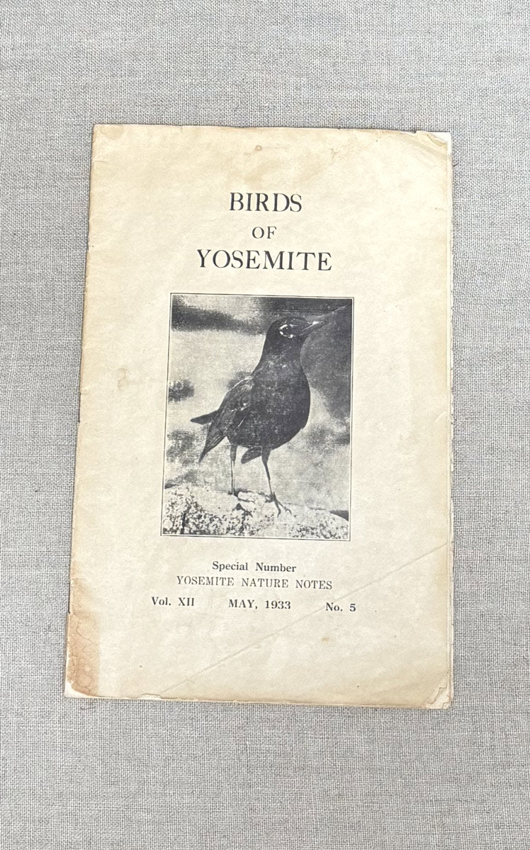 Birds of Yosemite nature notes