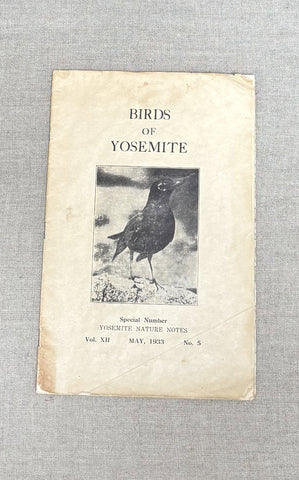 Birds of Yosemite nature notes