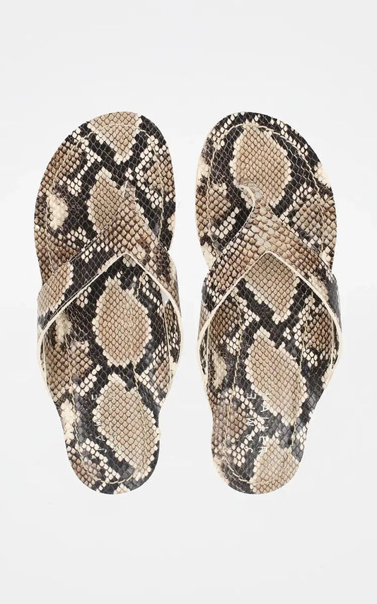 Jamie Haller The San Diego Sandal in Taupe Snake